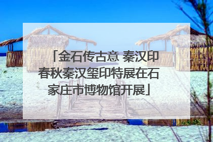 金石传古意 秦汉印春秋秦汉玺印特展在石家庄市博物馆开展