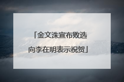 金文洙宣布败选 向李在明表示祝贺