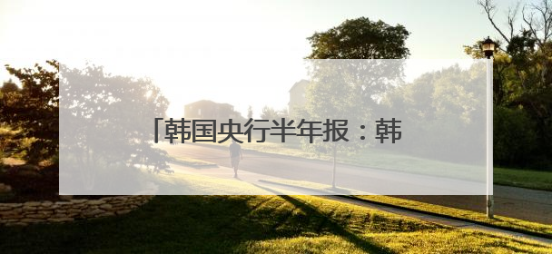 韩国央行半年报：韩国金融体系基本稳定，要警惕美国关税风险