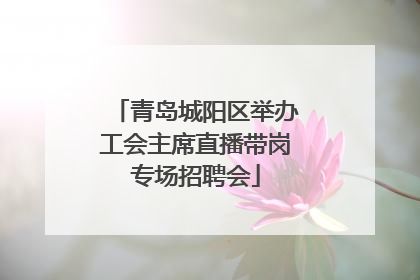 青岛城阳区举办工会主席直播带岗专场招聘会