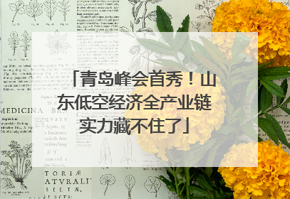 青岛峰会首秀！山东低空经济全产业链实力藏不住了