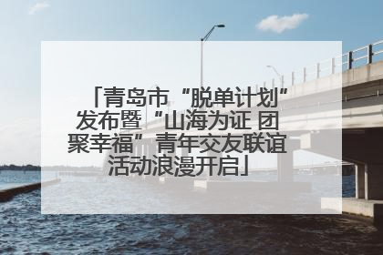 青岛市“脱单计划”发布暨“山海为证 团聚幸福”青年交友联谊活动浪漫开启
