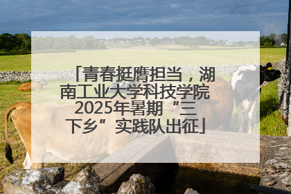 青春挺膺担当，湖南工业大学科技学院2025年暑期“三下乡”实践队出征