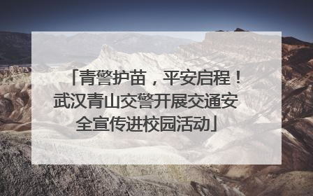 青警护苗，平安启程！武汉青山交警开展交通安全宣传进校园活动