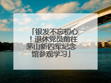 银发不忘初心！退休党员前往茅山新四军纪念馆参观学习