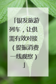 银发旅游列车，让供需有效对接（提振消费一线观察）
