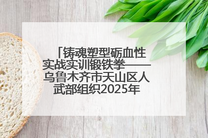 铸魂塑型砺血性 实战实训锻铁拳——乌鲁木齐市天山区人武部组织2025年度民兵集中轮训
