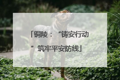 铜陵：“铸安行动”筑牢平安防线