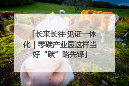 长来长往·见证一体化｜零碳产业园这样当好“碳”路先锋