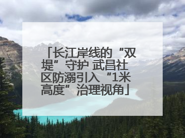长江岸线的“双堤”守护 武昌社区防溺引入“1米高度”治理视角