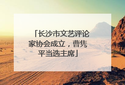 长沙市文艺评论家协会成立，曹隽平当选主席