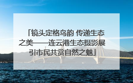 镜头定格鸟韵 传递生态之美——连云港生态摄影展引市民共赏自然之魅