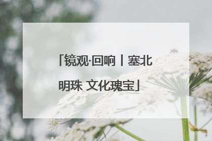 镜观·回响丨塞北明珠 文化瑰宝
