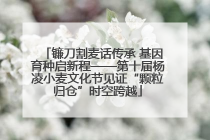 镰刀割麦话传承 基因育种启新程——第十届杨凌小麦文化节见证“颗粒归仓”时空跨越
