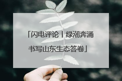 闪电评论丨绿潮奔涌 书写山东生态答卷
