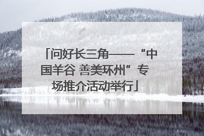 问好长三角——“中国羊谷 善美环州”专场推介活动举行