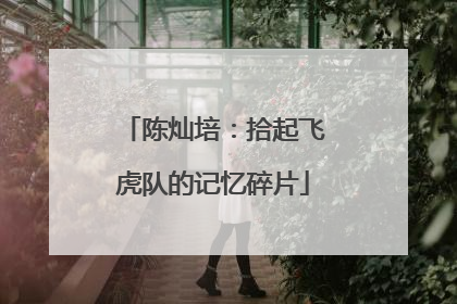 陈灿培：拾起飞虎队的记忆碎片