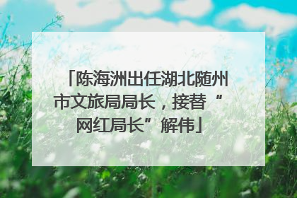 陈海洲出任湖北随州市文旅局局长，接替“网红局长”解伟