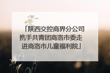 陕西交控商界分公司携手共青团商洛市委走进商洛市儿童福利院