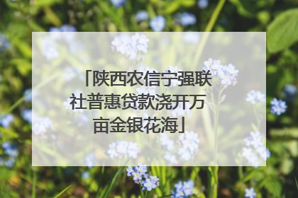 陕西农信宁强联社普惠贷款浇开万亩金银花海