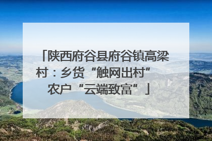陕西府谷县府谷镇高梁村：乡货“触网出村” 农户“云端致富”