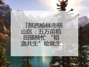 陕西榆林市横山区：五万亩稻田插秧忙 “稻渔共生”绘就生态富民新画卷