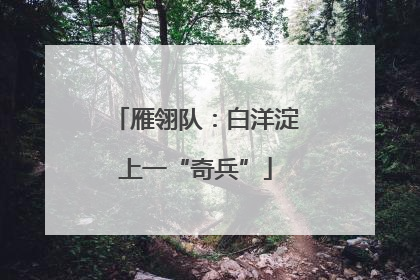 雁翎队：白洋淀上一“奇兵”
