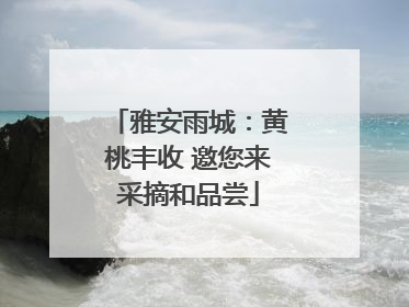 雅安雨城：黄桃丰收 邀您来采摘和品尝