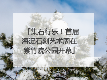 集石行乐！首届海淀石刻艺术周在紫竹院公园开幕