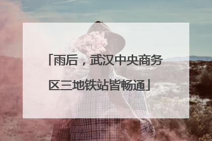雨后，武汉中央商务区三地铁站皆畅通
