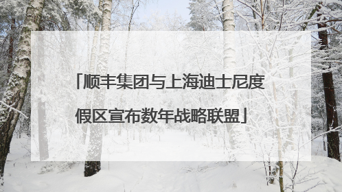 顺丰集团与上海迪士尼度假区宣布数年战略联盟