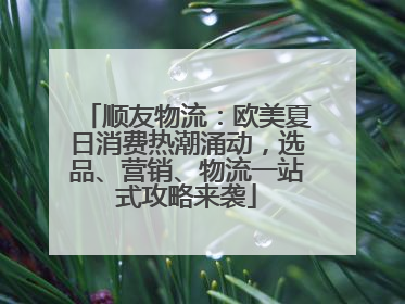 顺友物流：欧美夏日消费热潮涌动，选品、营销、物流一站式攻略来袭