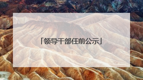 领导干部任前公示
