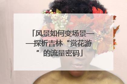 风景如何变场景——探析吉林“赏花游”的流量密码