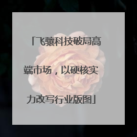 飞骧科技破局高端市场，以硬核实力改写行业版图