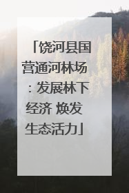 饶河县国营通河林场：发展林下经济 焕发生态活力