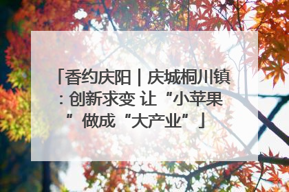 香约庆阳｜庆城桐川镇：创新求变 让“小苹果”做成“大产业”