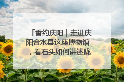 香约庆阳｜走进庆阳合水县这座博物馆，看石头如何讲述陇东千年历史