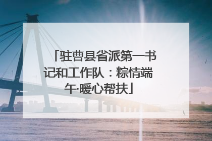 驻曹县省派第一书记和工作队：粽情端午·暖心帮扶