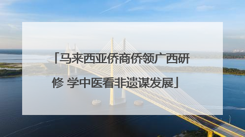 马来西亚侨商侨领广西研修 学中医看非遗谋发展