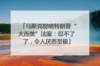马斯克怒喷特朗普“大而美”法案：忍不了了，令人厌恶至极