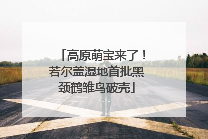 高原萌宝来了！若尔盖湿地首批黑颈鹤雏鸟破壳