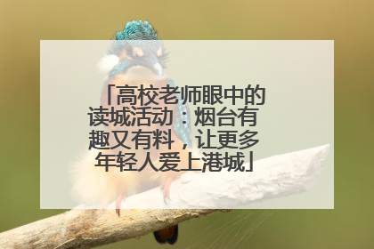 高校老师眼中的读城活动：烟台有趣又有料，让更多年轻人爱上港城