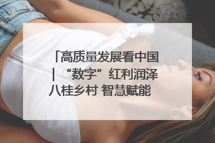 高质量发展看中国｜“数字”红利润泽八桂乡村 智慧赋能绘就振兴画卷