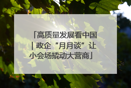 高质量发展看中国｜政企“月月谈”让小会场撬动大营商