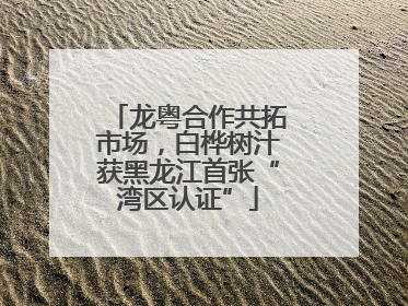 龙粤合作共拓市场，白桦树汁获黑龙江首张“湾区认证”