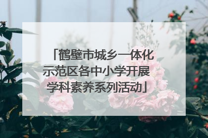 鹤壁市城乡一体化示范区各中小学开展学科素养系列活动