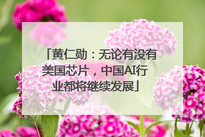 黄仁勋：无论有没有美国芯片，中国AI行业都将继续发展