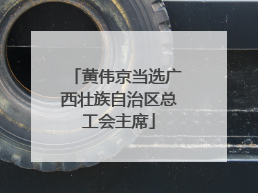 黄伟京当选广西壮族自治区总工会主席
