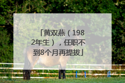 黄双燕（1982年生），任职不到8个月再提拔